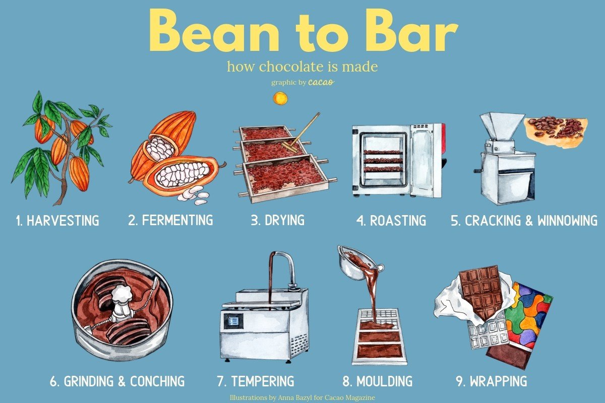 bean to bar chocolate business plan